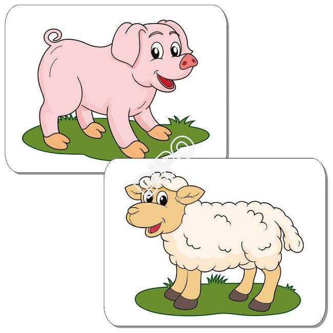 Zvířátka na farmě ( 12  magnetických karet )