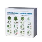 Listnaté stromy